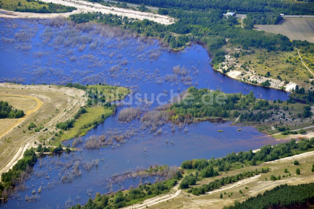 Luftbild Senftenberg - Landschaft am Sedlitzer See in Senftenberg im Bundesland Brandenburg