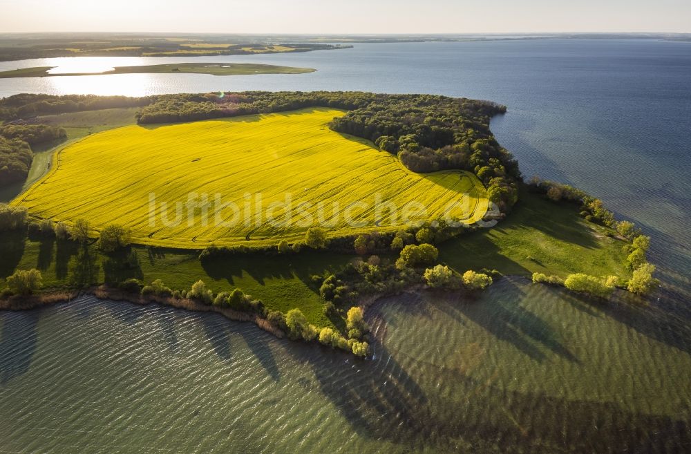 Ludorf aus der Vogelperspektive: Landschaft am See Müritz in Ludorf im Bundesland Mecklenburg-Vorpommern