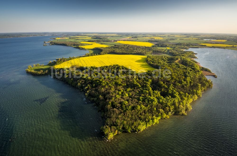 Luftaufnahme Ludorf - Landschaft am See Müritz in Ludorf im Bundesland Mecklenburg-Vorpommern