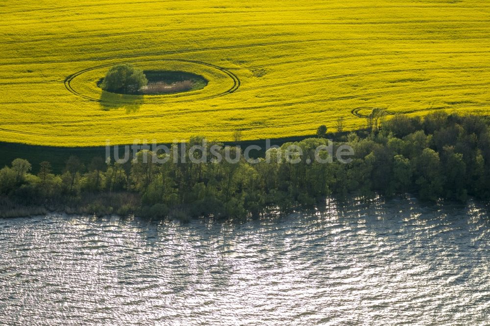 Ludorf von oben - Landschaft am See Müritz in Ludorf im Bundesland Mecklenburg-Vorpommern