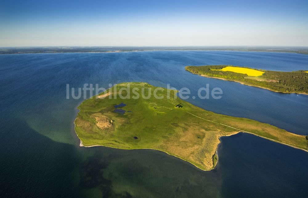 Ludorf von oben - Landschaft am See Müritz in Ludorf im Bundesland Mecklenburg-Vorpommern