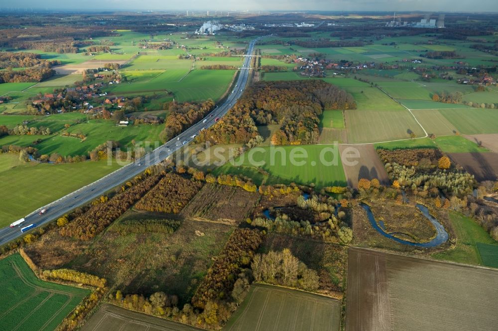 Luftbild Süddinker - Landschaft am Ufer- Verlauf des Flusses Ahse bei Süddinker in Nordrhein-Westfalen