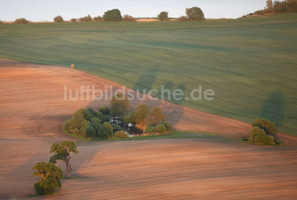 Ludorf von oben - Landschaft umgepflügter Felder mit inselförmigen Baum- und Strauchbewuchs in Ludorf im Bundesland Mecklenburg-Vorpommern