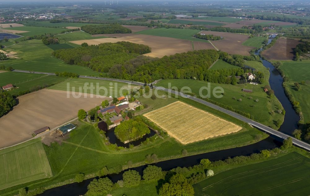 Luftbild Olfen - Landschaft der Wiesen und Felder am Hotel-Restaurant Zur Rauschenburg bei Olfen im Bundesland Nordrhein-Westfalen NRW