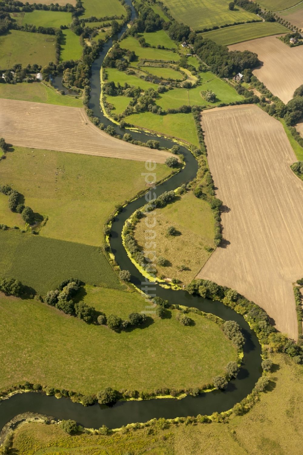 Bergkamen aus der Vogelperspektive: Landschaft der Wiesen und Felder der Lippeauen an der Lippe bei Bergkamen im Bundesland Nordrhein-Westfalen