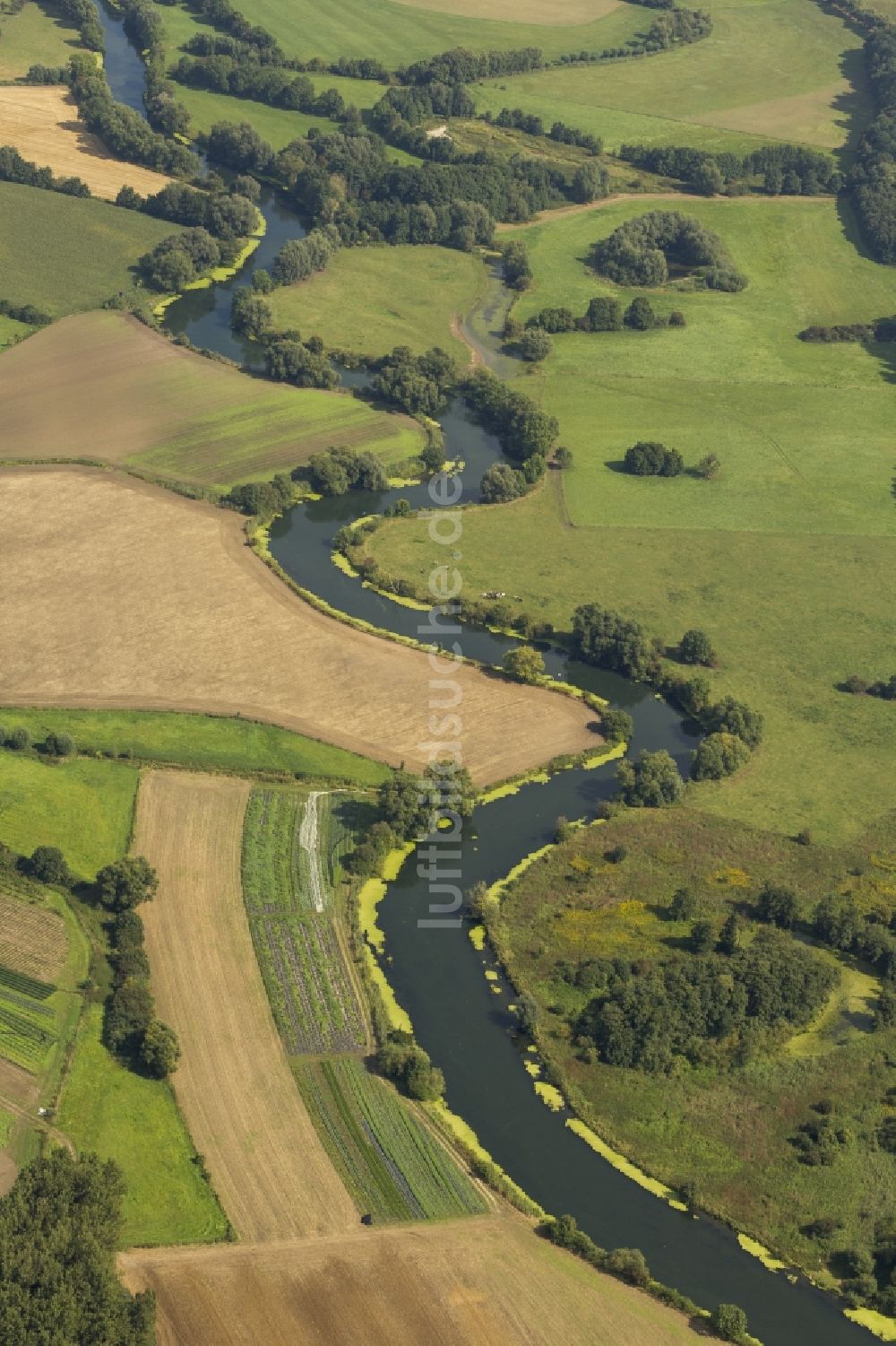 Luftaufnahme Bergkamen - Landschaft der Wiesen und Felder der Lippeauen an der Lippe bei Bergkamen im Bundesland Nordrhein-Westfalen