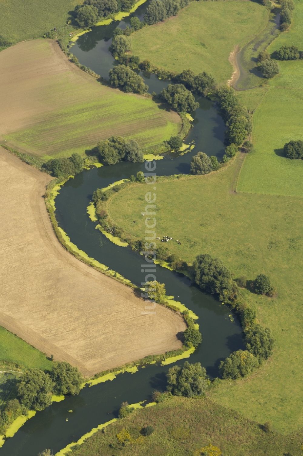 Bergkamen von oben - Landschaft der Wiesen und Felder der Lippeauen an der Lippe bei Bergkamen im Bundesland Nordrhein-Westfalen