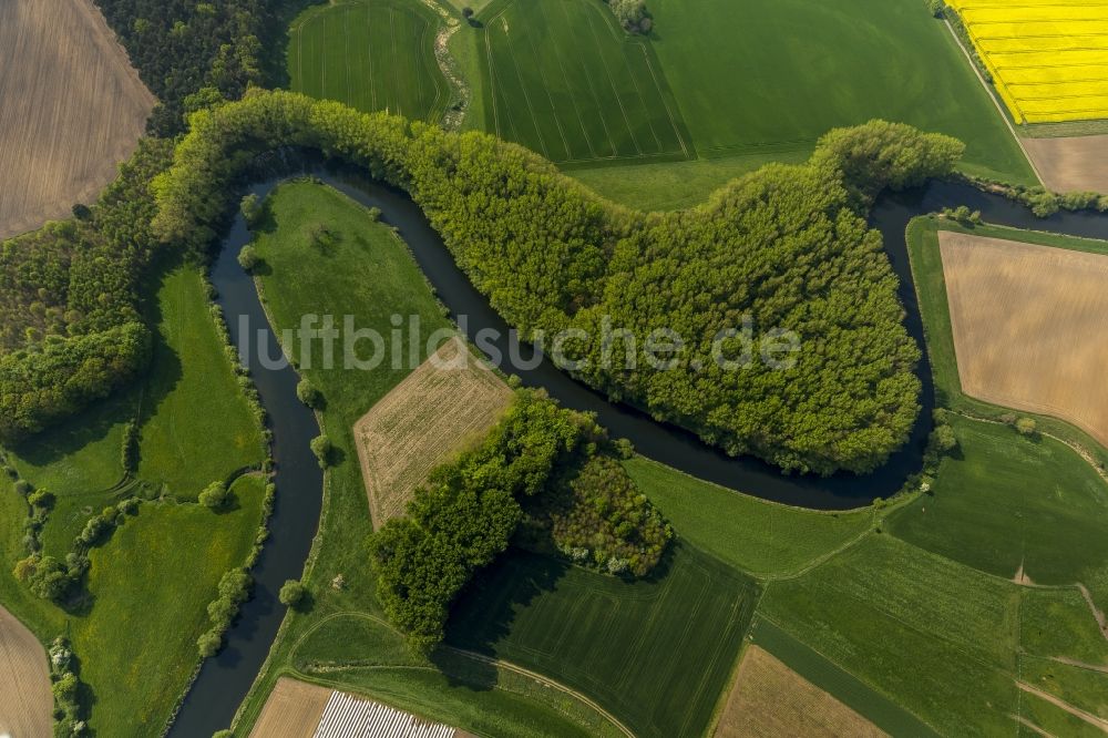 Olfen von oben - Landschaft der Wiesen und Felder an den Lippemäander, Lippeschleife der Lippeauen an der Lippe bei Olfen im Bundesland Nordrhein-Westfalen NRW