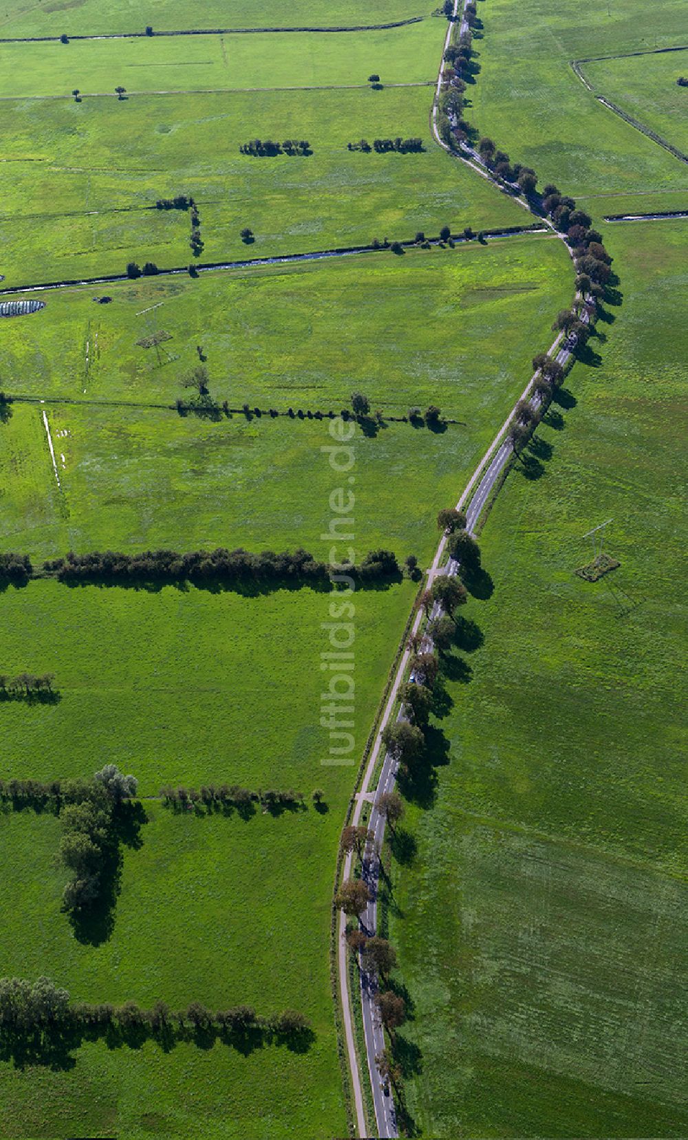 Luftbild Usedom - Landschaft von Wiesen und Feldern entlang der Allee an der Anklamer Straße in Usedom im Bundesland Mecklenburg-Vorpommern