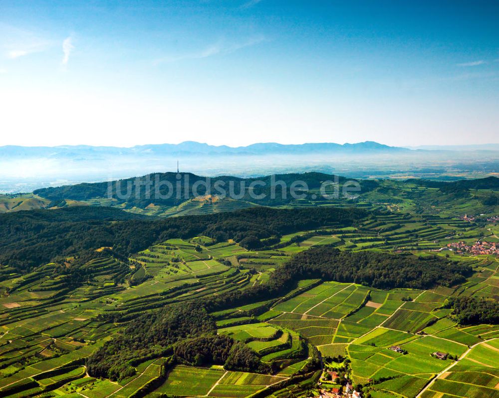 Luftaufnahme SCHELINGEN - Landschaften des Kaiserstuhl s, einem hohes Mittelgebirge im Südwesten von Baden-Württemberg