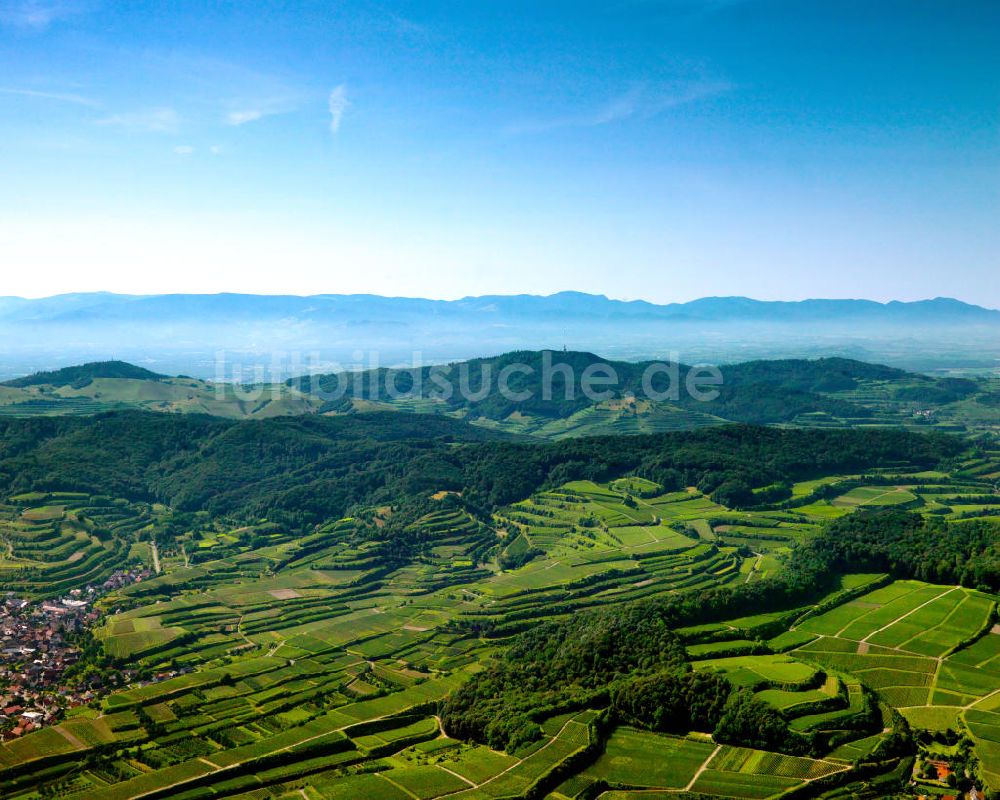 SCHELINGEN von oben - Landschaften des Kaiserstuhl s, einem hohes Mittelgebirge im Südwesten von Baden-Württemberg