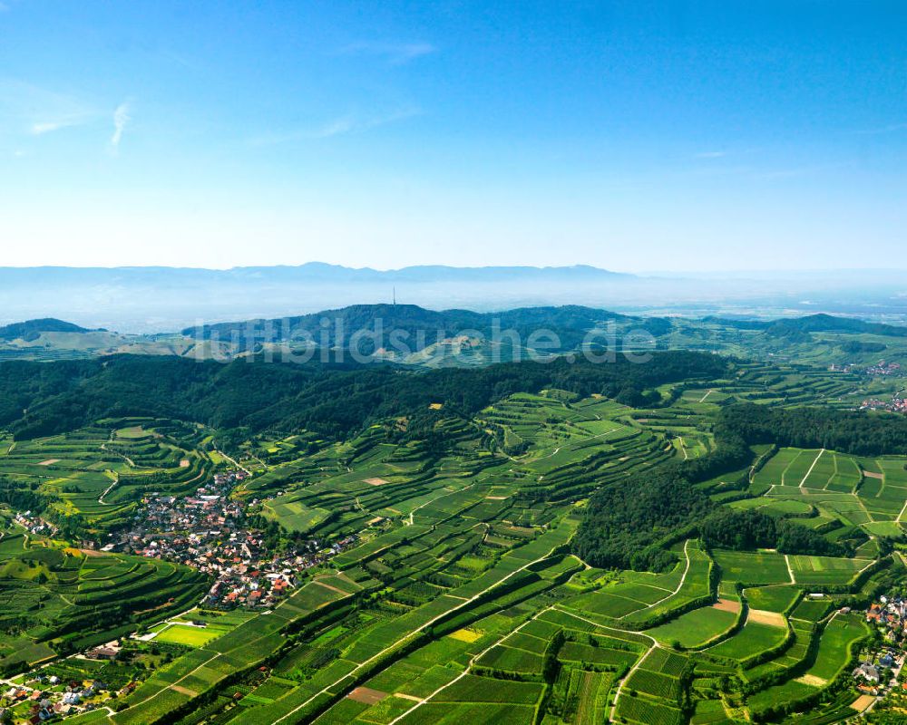 SCHELINGEN aus der Vogelperspektive: Landschaften des Kaiserstuhl s, einem hohes Mittelgebirge im Südwesten von Baden-Württemberg