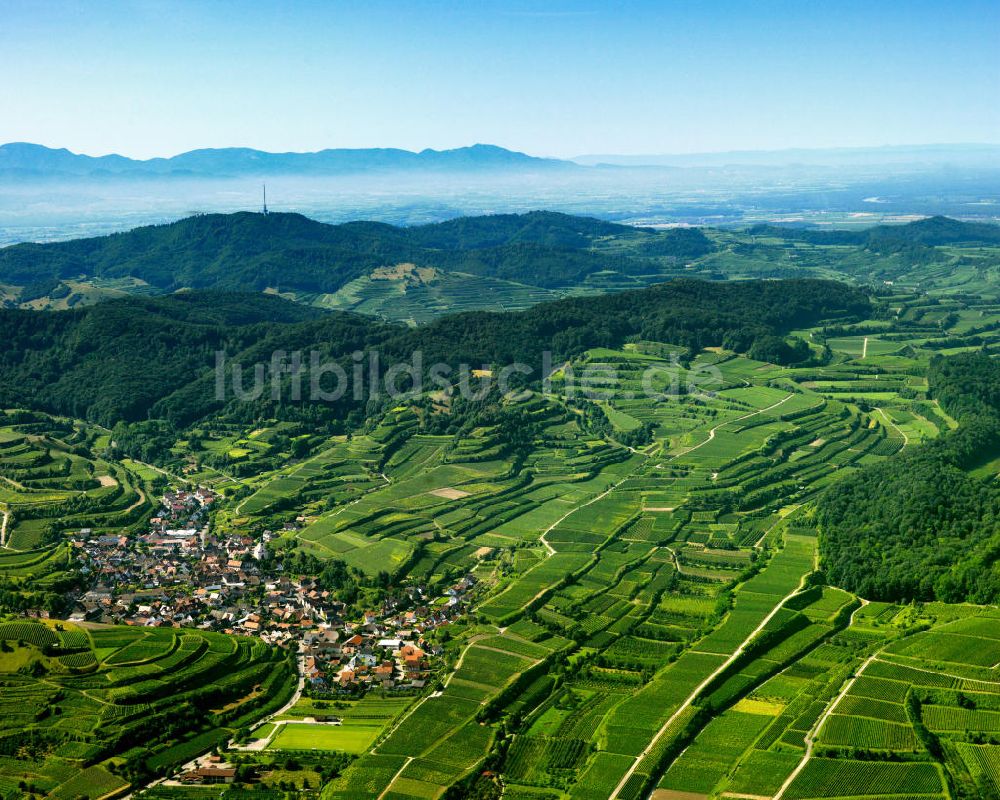 Luftbild SCHELINGEN - Landschaften des Kaiserstuhl s, einem hohes Mittelgebirge im Südwesten von Baden-Württemberg