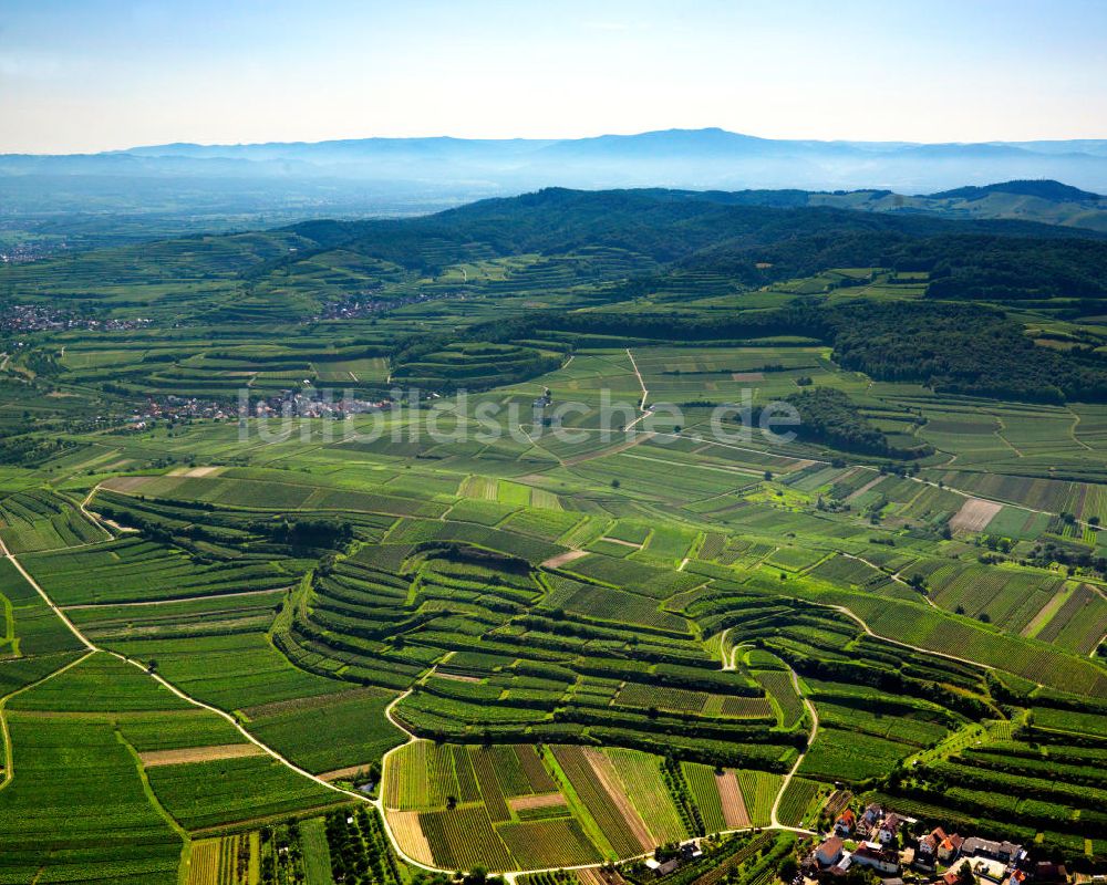 Luftaufnahme SCHELINGEN - Landschaften des Kaiserstuhl s, einem hohes Mittelgebirge im Südwesten von Baden-Württemberg