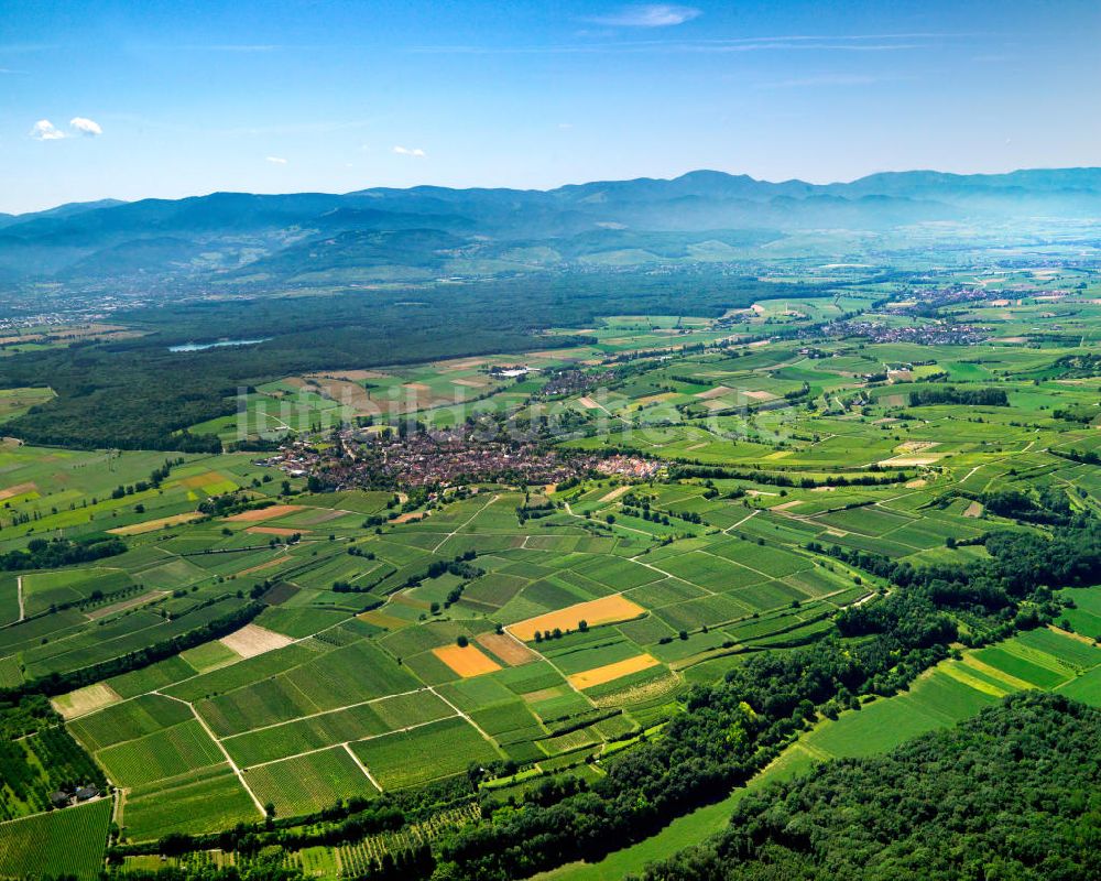 Luftbild SCHELINGEN - Landschaften des Kaiserstuhl s, einem hohes Mittelgebirge im Südwesten von Baden-Württemberg