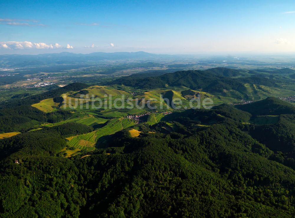 SCHELINGEN von oben - Landschaften des Kaiserstuhl s, einem hohes Mittelgebirge im Südwesten von Baden-Württemberg