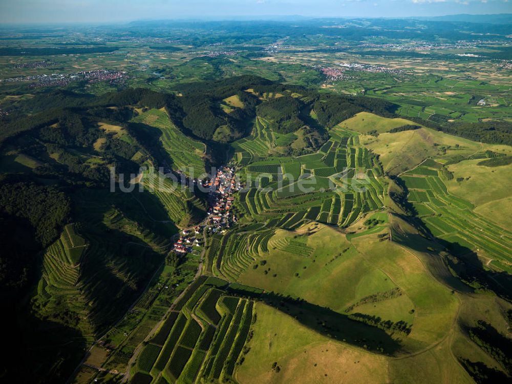 Luftbild SCHELINGEN - Landschaften des Kaiserstuhl s, einem hohes Mittelgebirge im Südwesten von Baden-Württemberg