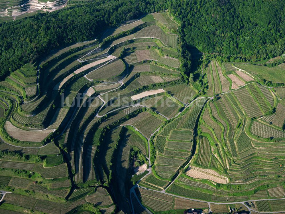 Luftaufnahme SCHELINGEN - Landschaften des Kaiserstuhl s, einem hohes Mittelgebirge im Südwesten von Baden-Württemberg