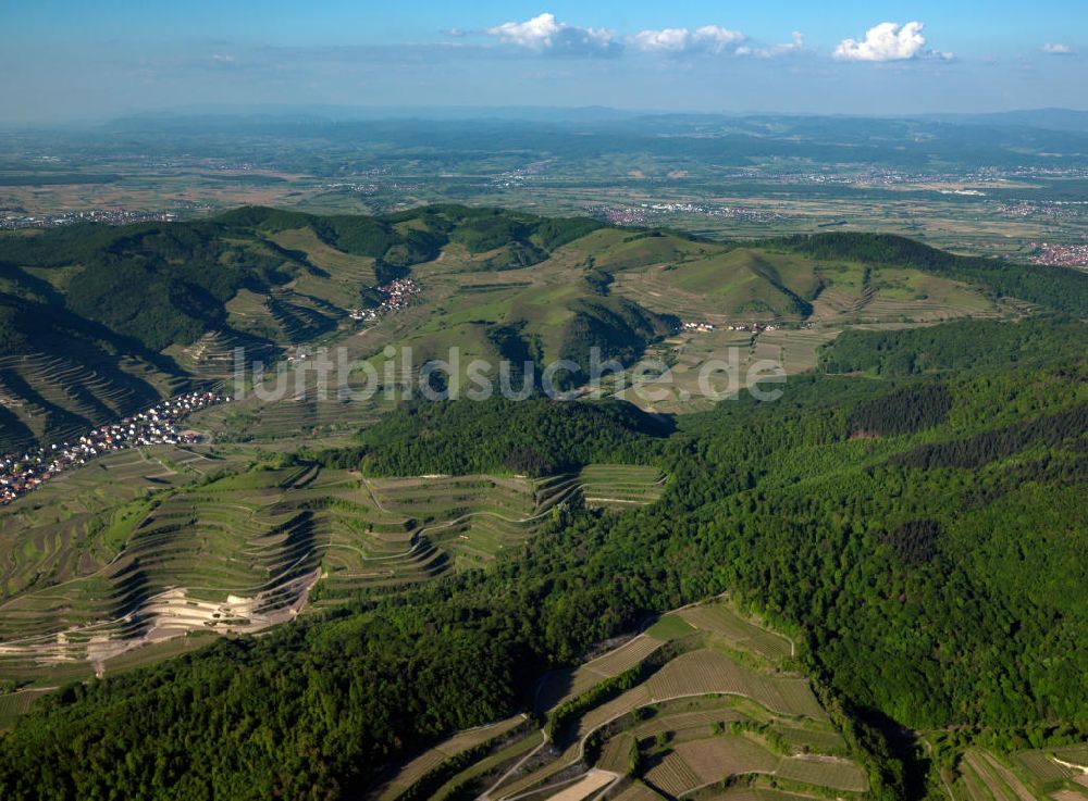 SCHELINGEN von oben - Landschaften des Kaiserstuhl s, einem hohes Mittelgebirge im Südwesten von Baden-Württemberg