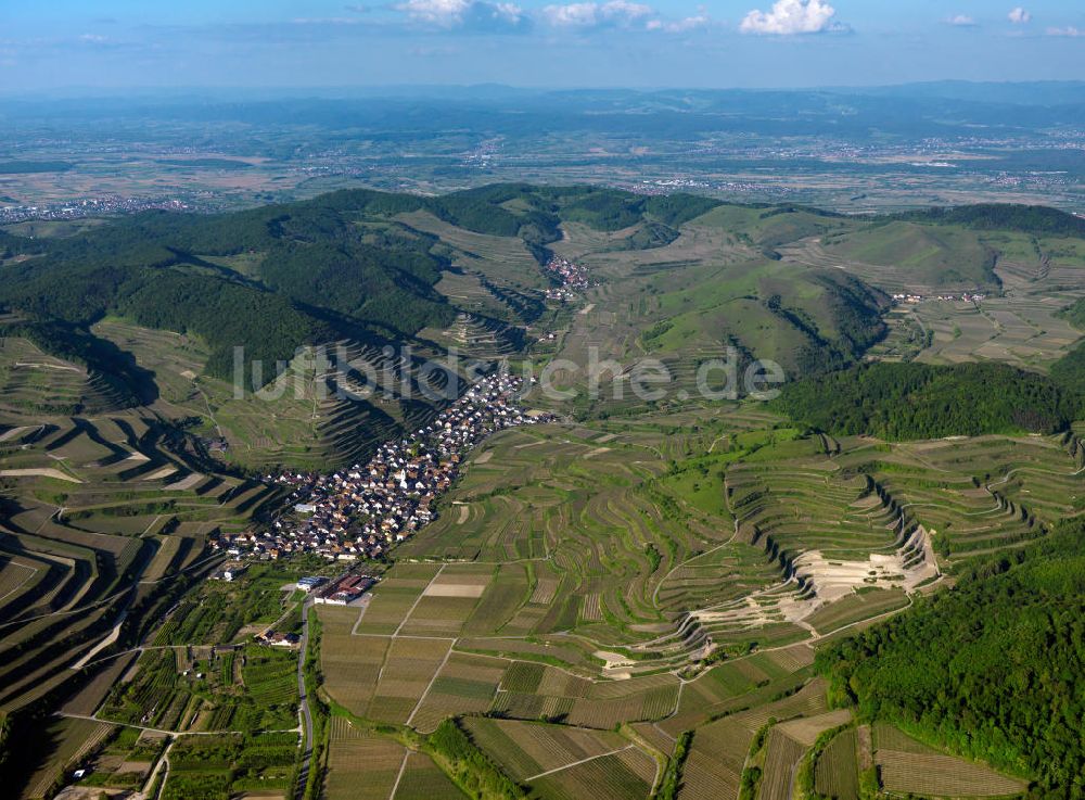 SCHELINGEN aus der Vogelperspektive: Landschaften des Kaiserstuhl s, einem hohes Mittelgebirge im Südwesten von Baden-Württemberg