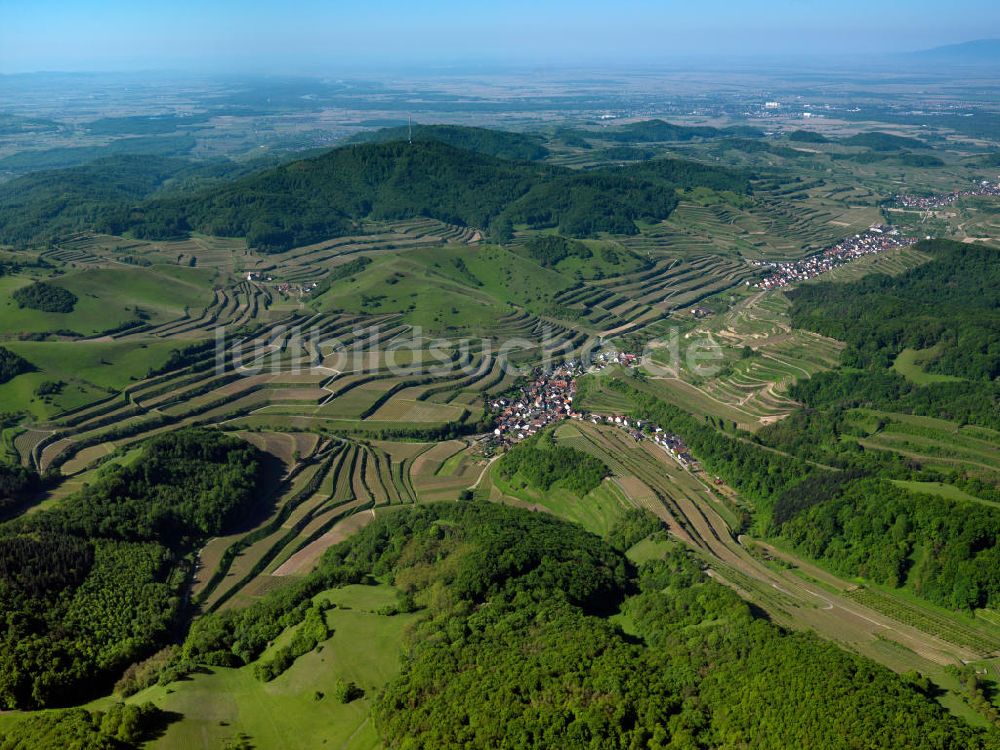 Luftbild SCHELINGEN - Landschaften des Kaiserstuhl s, einem hohes Mittelgebirge im Südwesten von Baden-Württemberg