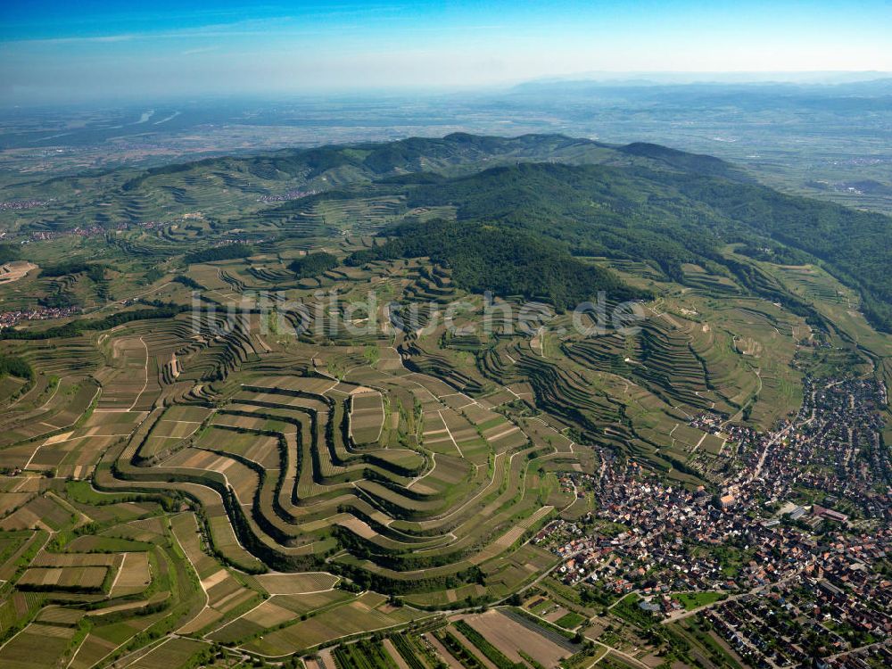 SCHELINGEN aus der Vogelperspektive: Landschaften des Kaiserstuhl s, einem hohes Mittelgebirge im Südwesten von Baden-Württemberg