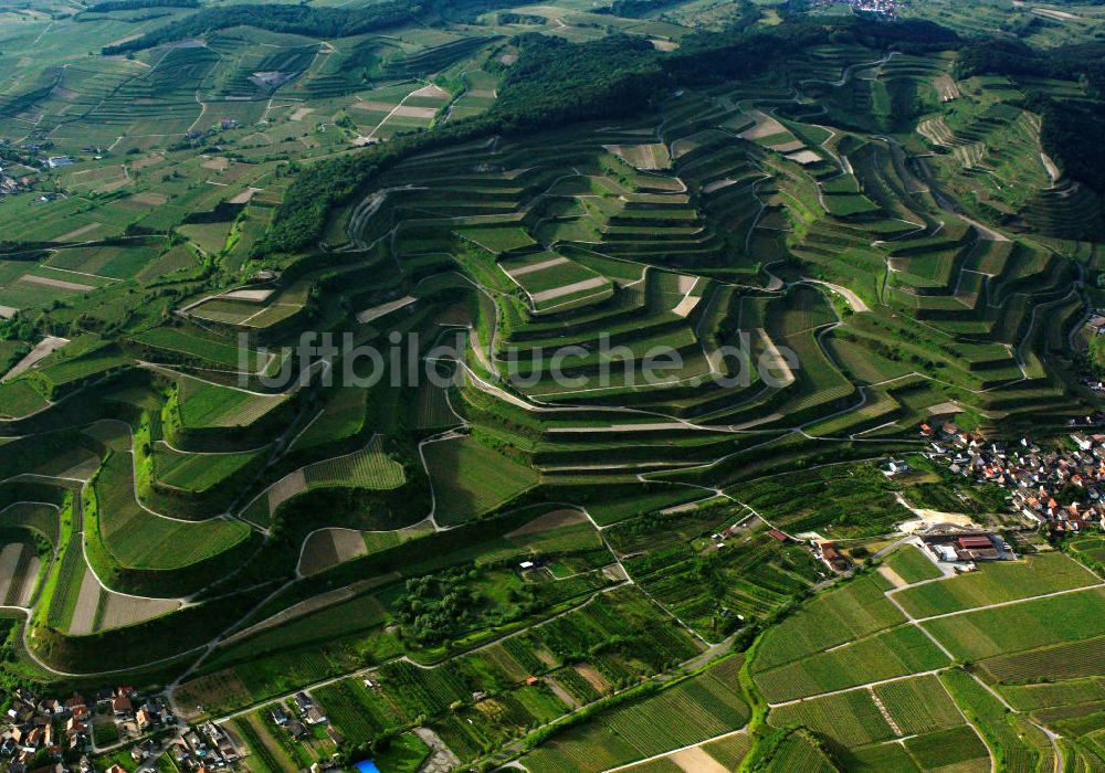 Luftbild SCHELINGEN - Landschaften des Kaiserstuhl s, einem hohes Mittelgebirge im Südwesten von Baden-Württemberg