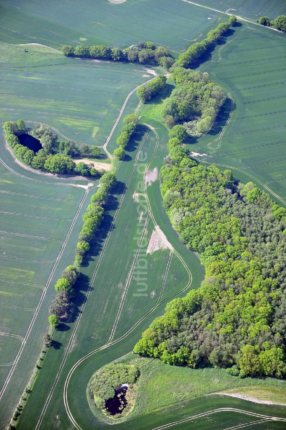 Breest aus der Vogelperspektive: Landschaftskunst bei Breest in Mecklenburg-Vorpommern