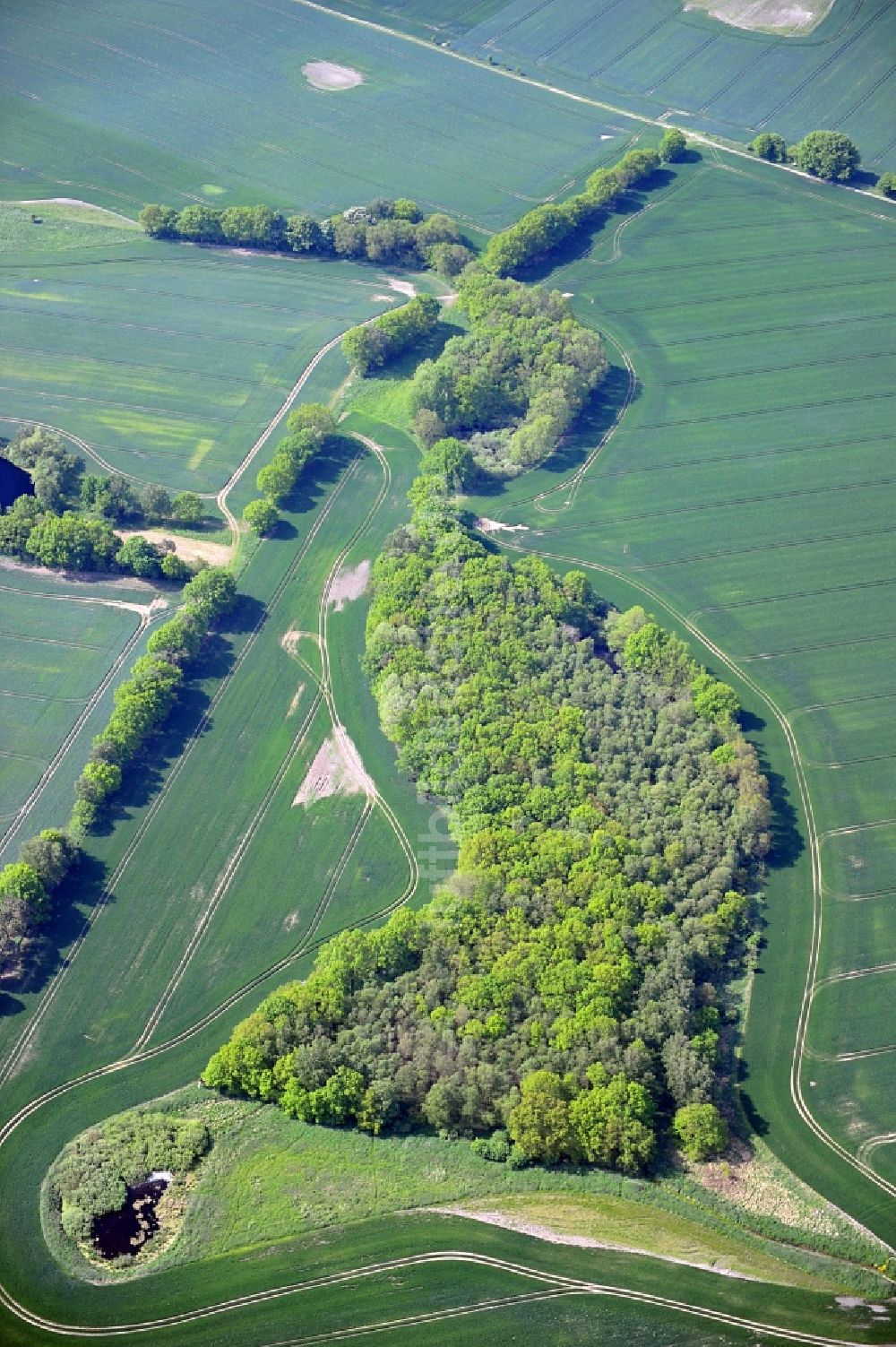 Luftbild Breest - Landschaftskunst bei Breest in Mecklenburg-Vorpommern