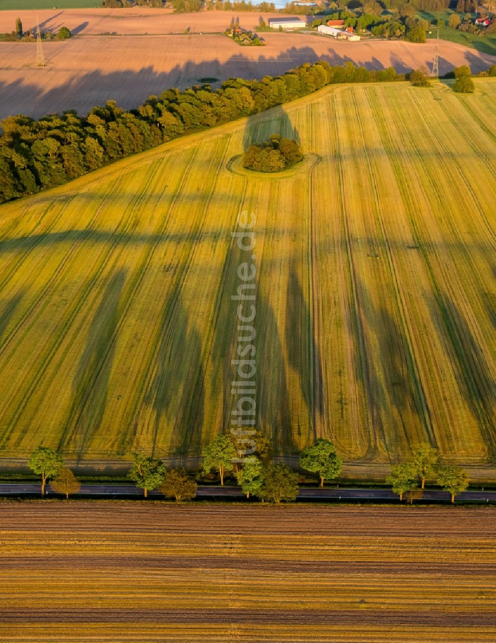 Altenhof von oben - Landstraße L206 in Altenhof im Bundesland Mecklenburg-Vorpommern