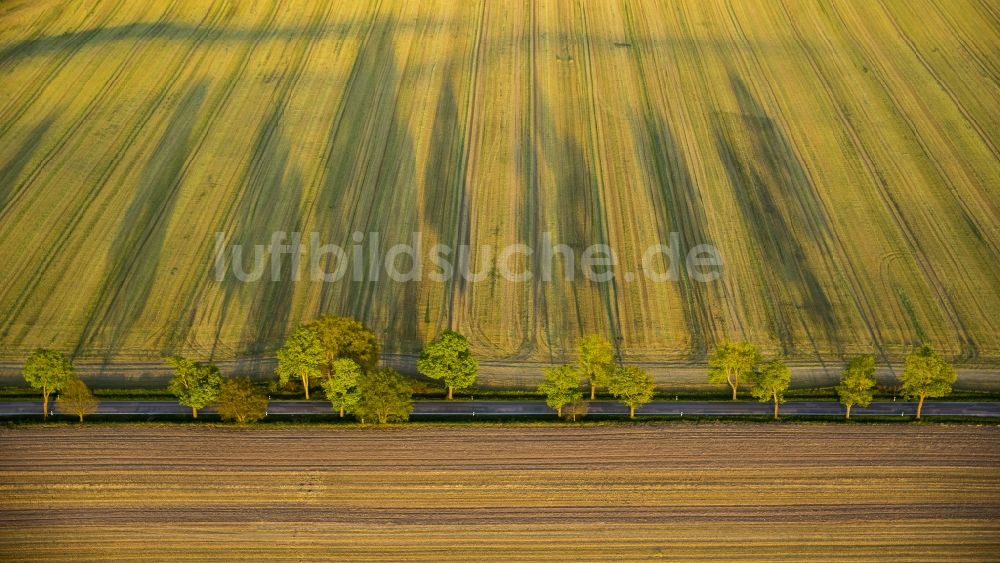 Altenhof aus der Vogelperspektive: Landstraße L206 in Altenhof im Bundesland Mecklenburg-Vorpommern