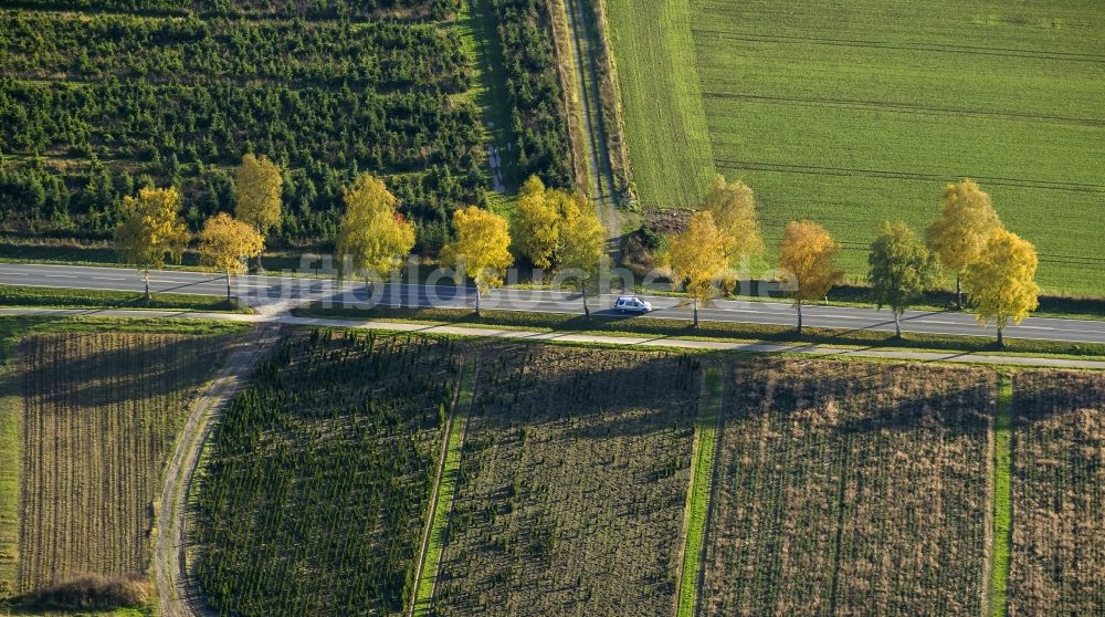 Luftaufnahme Meschede - Landstraße bei Enste Ortsteil von Meschede im Sauerland in Nordrhein-Westfalen