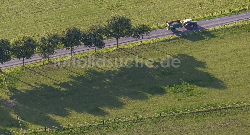 Gladbeck von oben - Landstraße mit Bäumen und Traktor bei Gladbeck im Bundesland Nordrhein-Westfalen