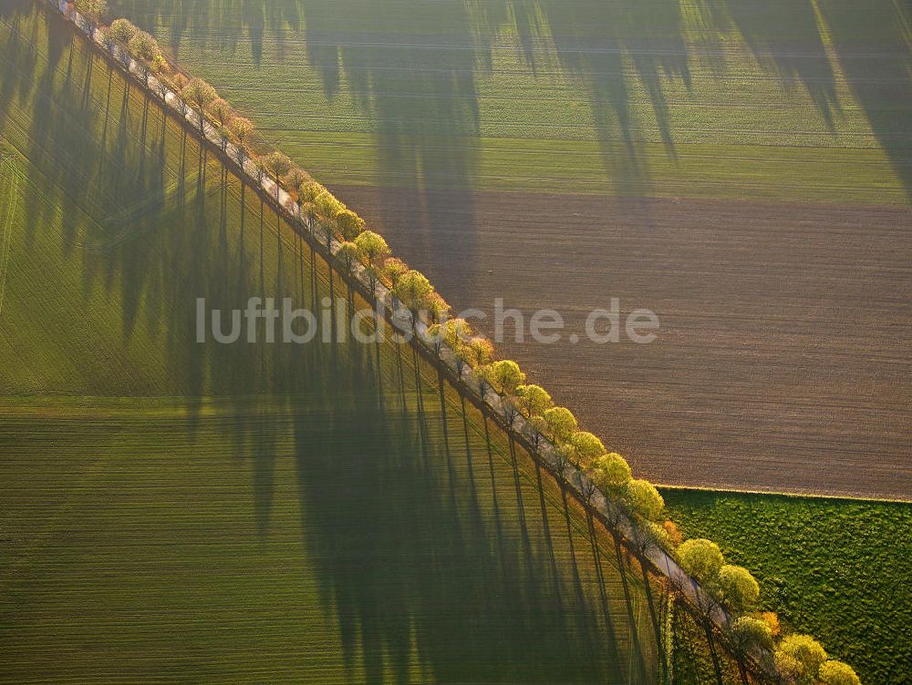 Luftbild Werl - Landstraße im Herbst