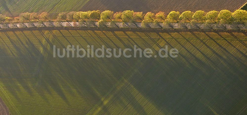 Luftaufnahme Werl - Landstraße im Herbst