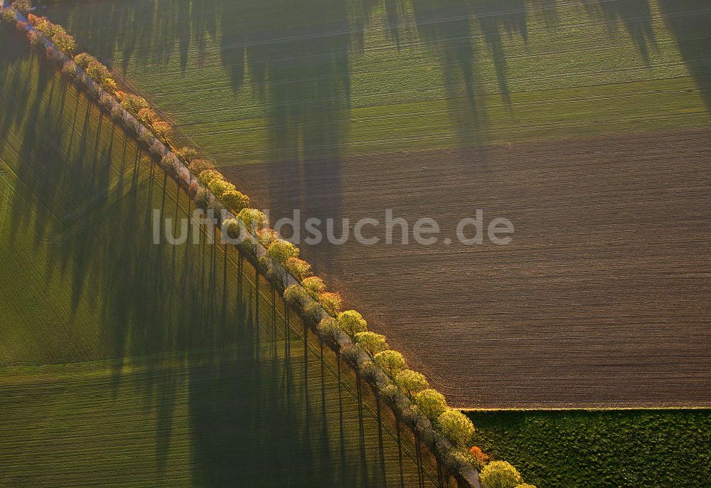 Werl von oben - Landstraße im Herbst