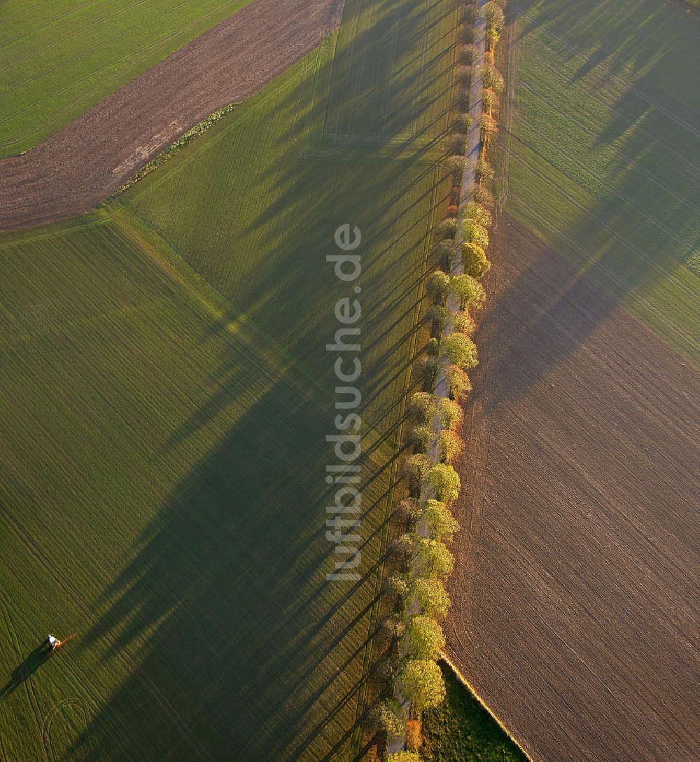 Werl aus der Vogelperspektive: Landstraße im Herbst