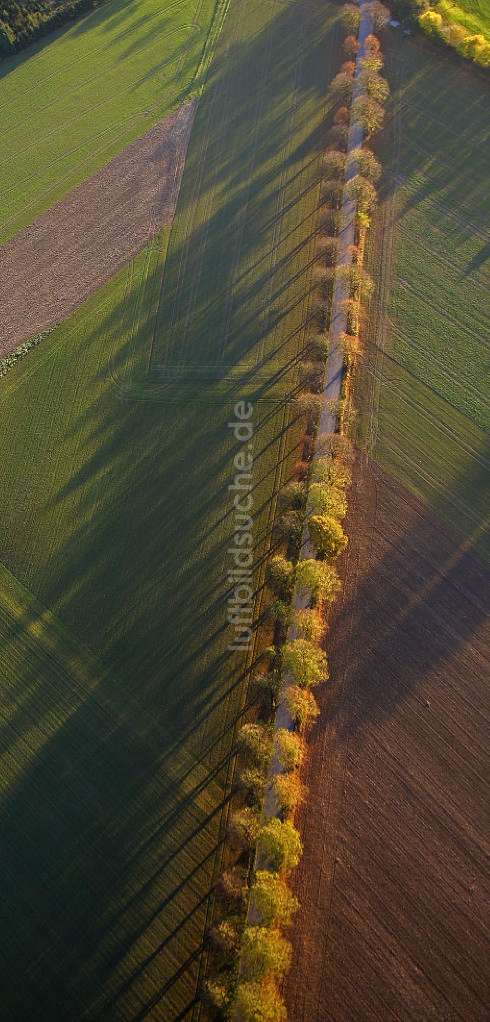 Luftbild Werl - Landstraße im Herbst