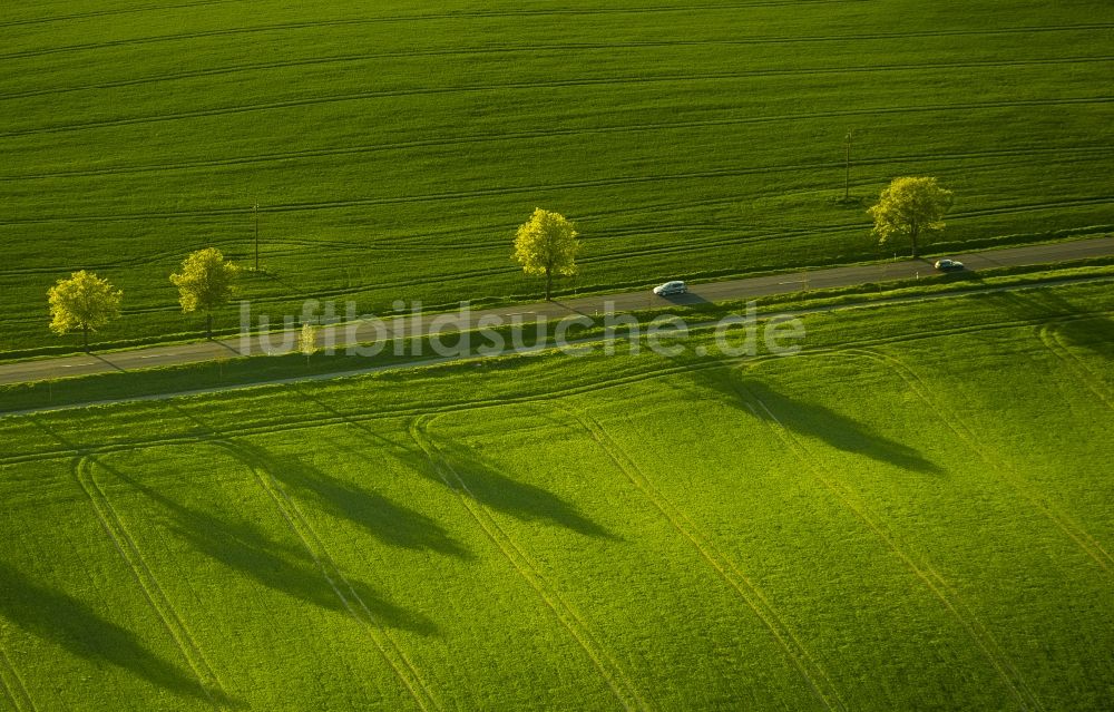 Luftbild Klink - Landstraße in Klink im Bundesland Mecklenburg-Vorpommern