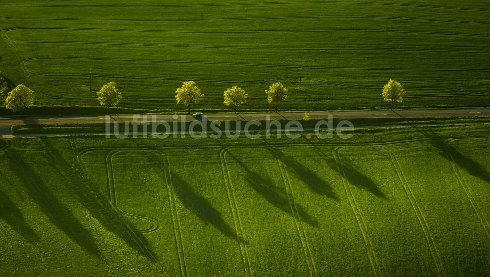 Luftaufnahme Klink - Landstraße in Klink im Bundesland Mecklenburg-Vorpommern