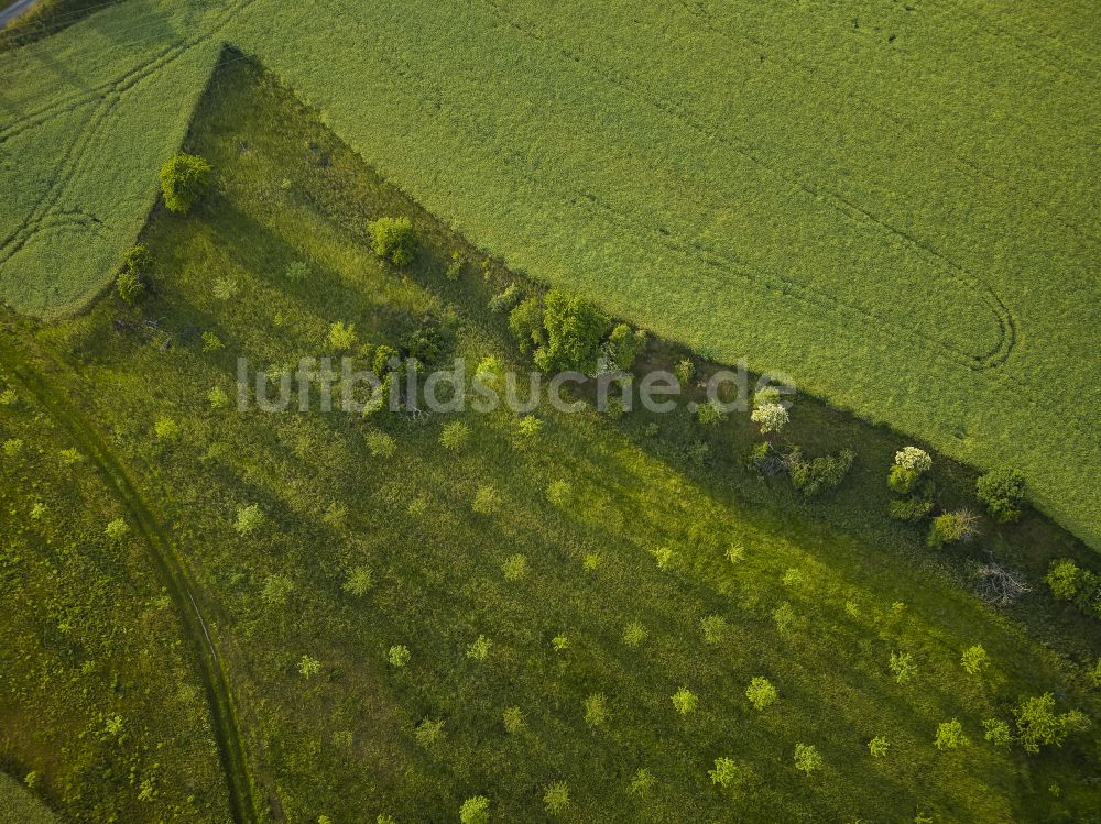 Luftaufnahme Dürrröhrsdorf-Dittersbach - Landwirtschaft in Bonnewitz im Bundesland Sachsen, Deutschland