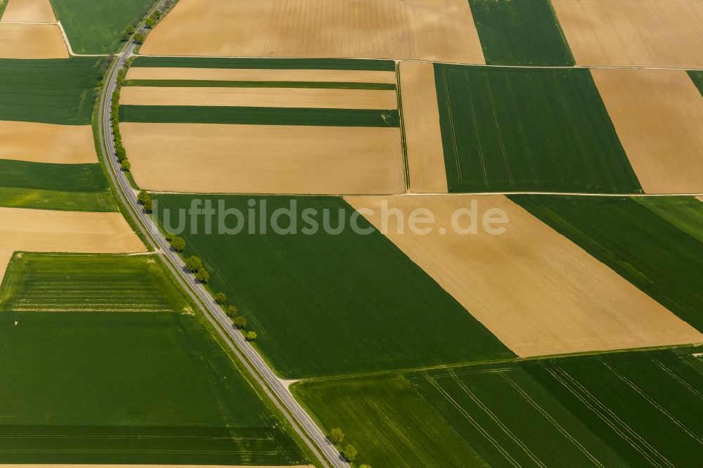 Luftaufnahme Baesweiler - Landwirtschaftliche Feld - Strukturen bei Baesweiler im Bundesland Nordrhein-Westfalen NRW