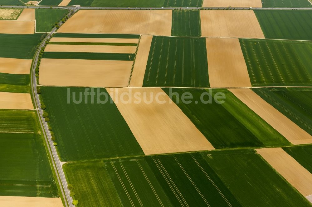 Baesweiler von oben - Landwirtschaftliche Feld - Strukturen bei Baesweiler im Bundesland Nordrhein-Westfalen NRW