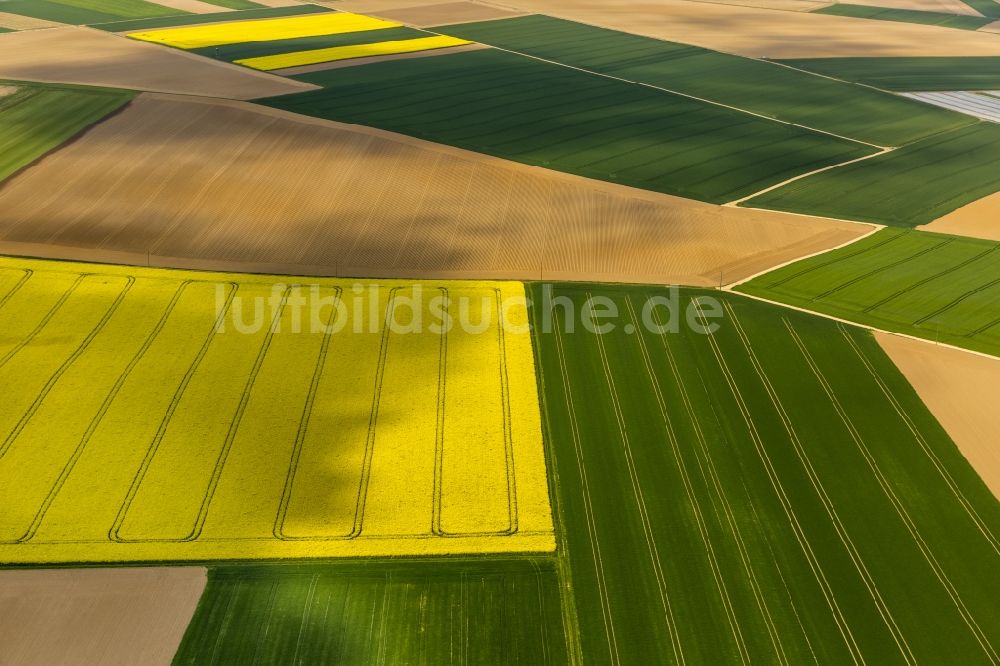 Luftaufnahme Baesweiler - Landwirtschaftliche Feld - Strukturen bei Baesweiler im Bundesland Nordrhein-Westfalen NRW