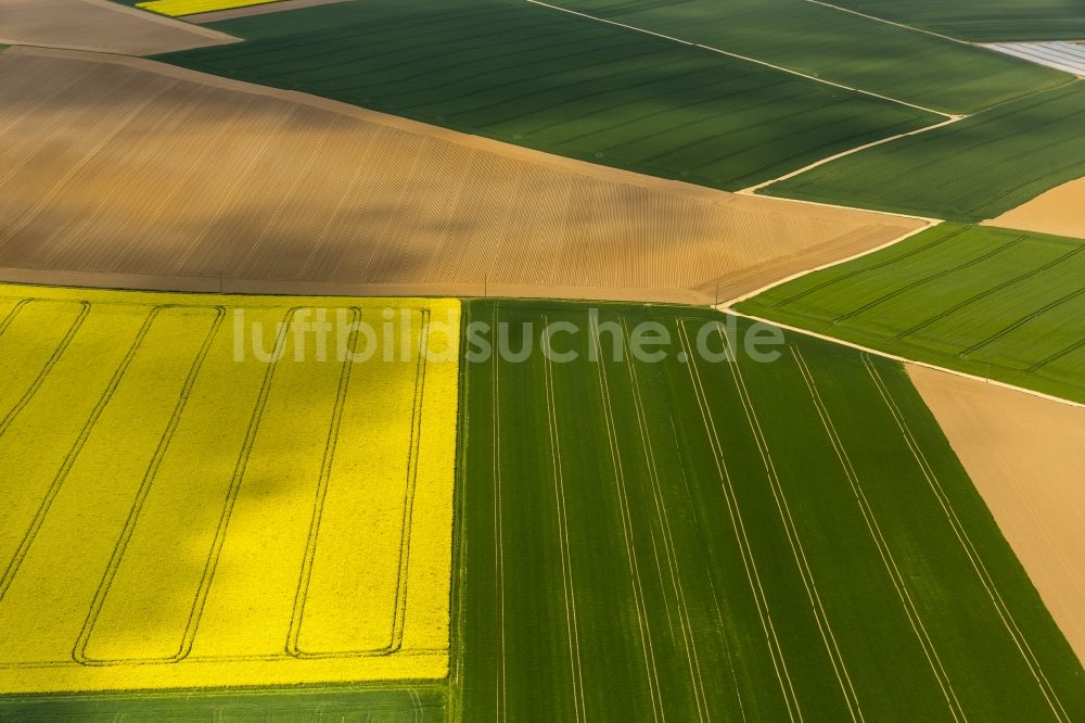 Baesweiler von oben - Landwirtschaftliche Feld - Strukturen bei Baesweiler im Bundesland Nordrhein-Westfalen NRW