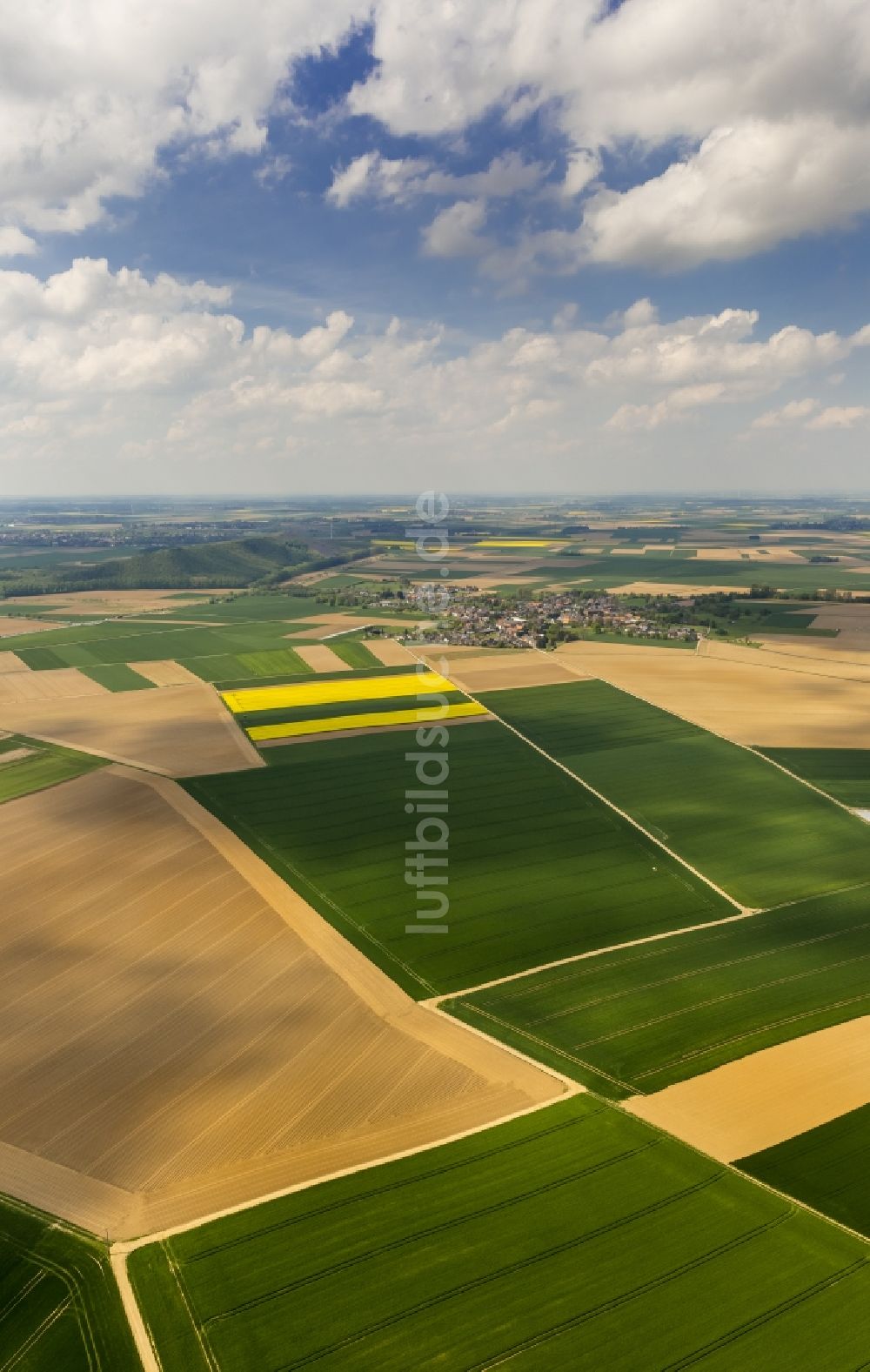 Baesweiler aus der Vogelperspektive: Landwirtschaftliche Feld - Strukturen bei Baesweiler im Bundesland Nordrhein-Westfalen NRW