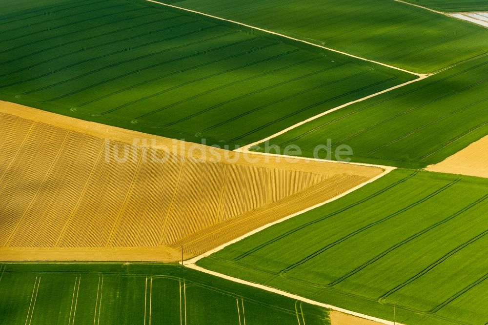 Luftaufnahme Baesweiler - Landwirtschaftliche Feld - Strukturen bei Baesweiler im Bundesland Nordrhein-Westfalen NRW