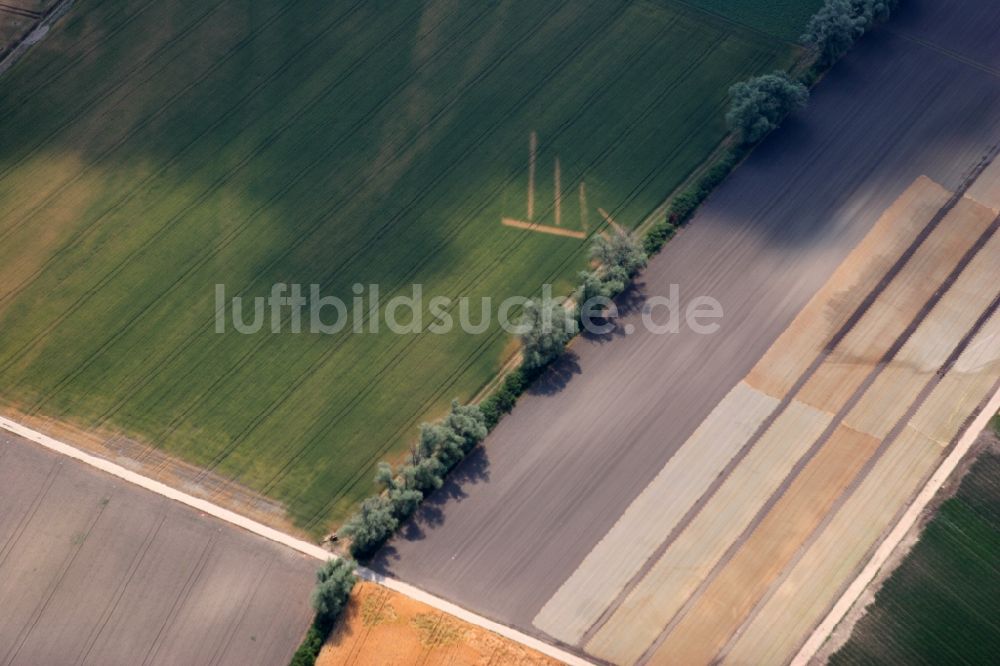 Luftbild Worms - Landwirtschaftliche Feld- Strukturen bei Worms-Ibersheim Rheinland-Pfalz