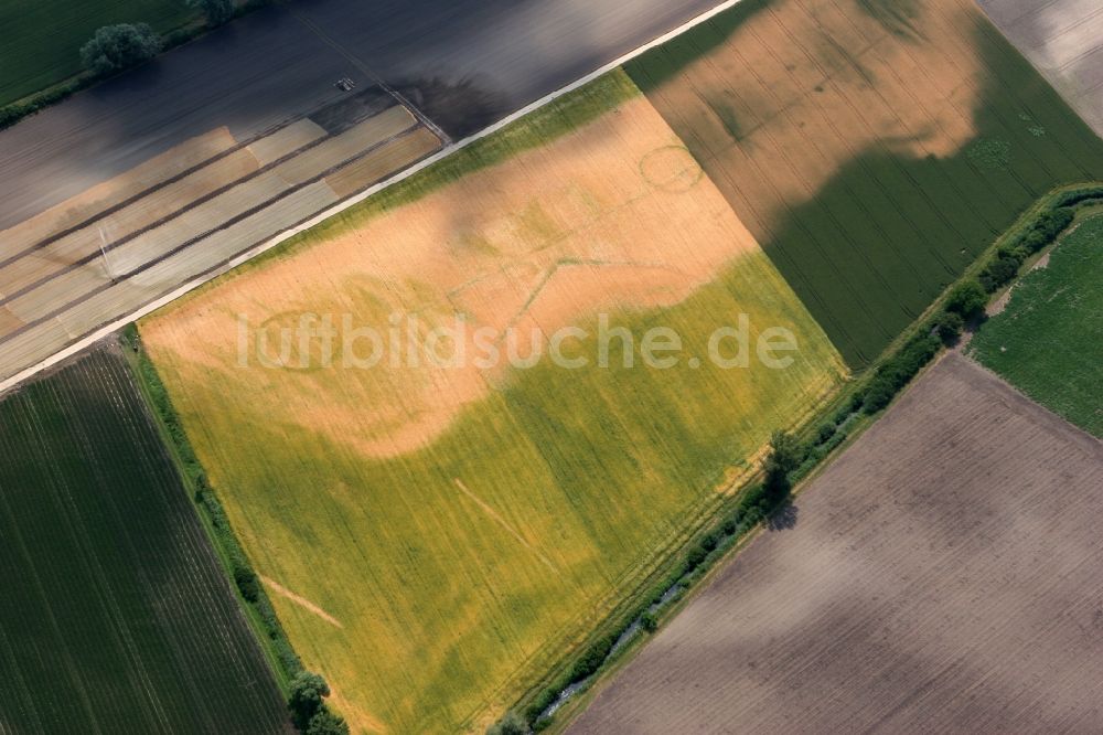 Luftaufnahme Worms - Landwirtschaftliche Feld- Strukturen bei Worms-Ibersheim Rheinland-Pfalz