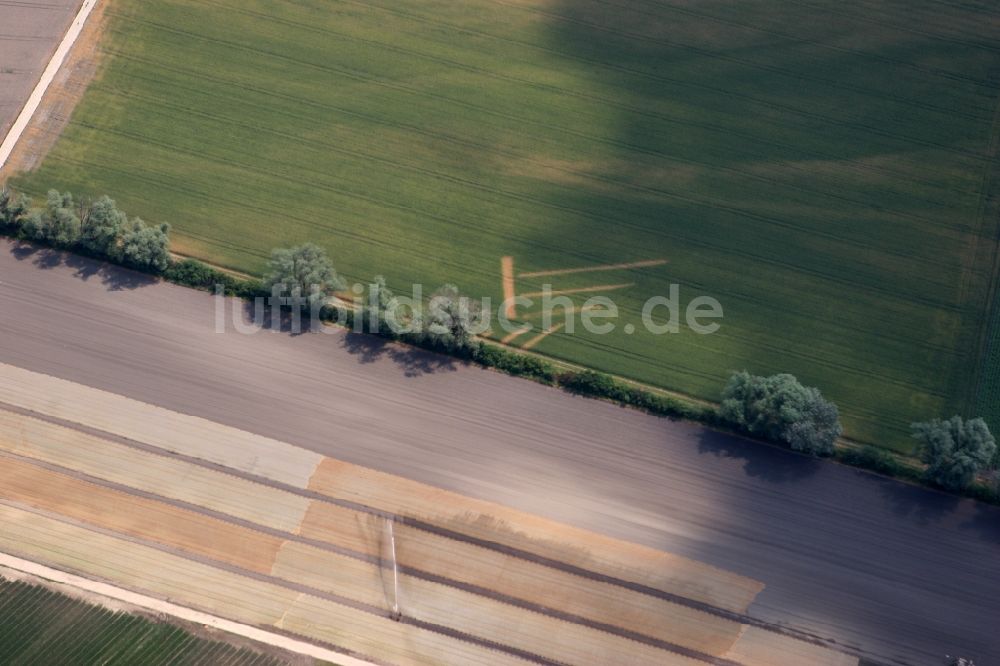 Worms aus der Vogelperspektive: Landwirtschaftliche Feld- Strukturen bei Worms-Ibersheim Rheinland-Pfalz